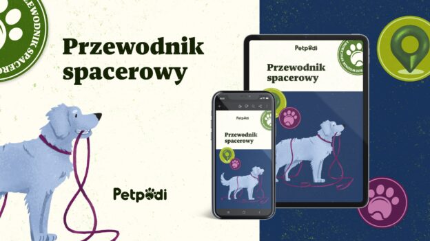 Przewodnik Spacerowy – Dlaczego zwykły spacer to za mało?