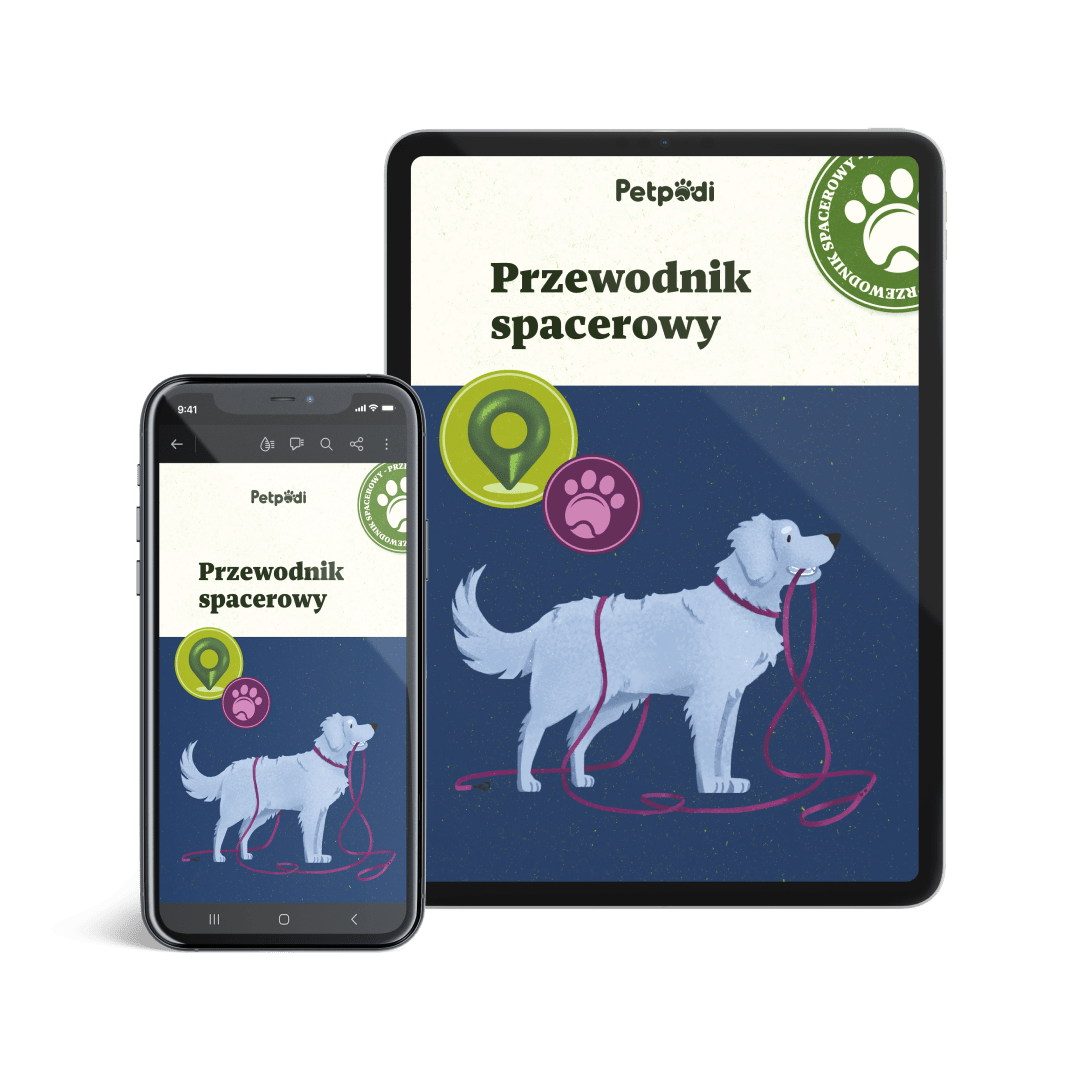 przewodnik mockup-min