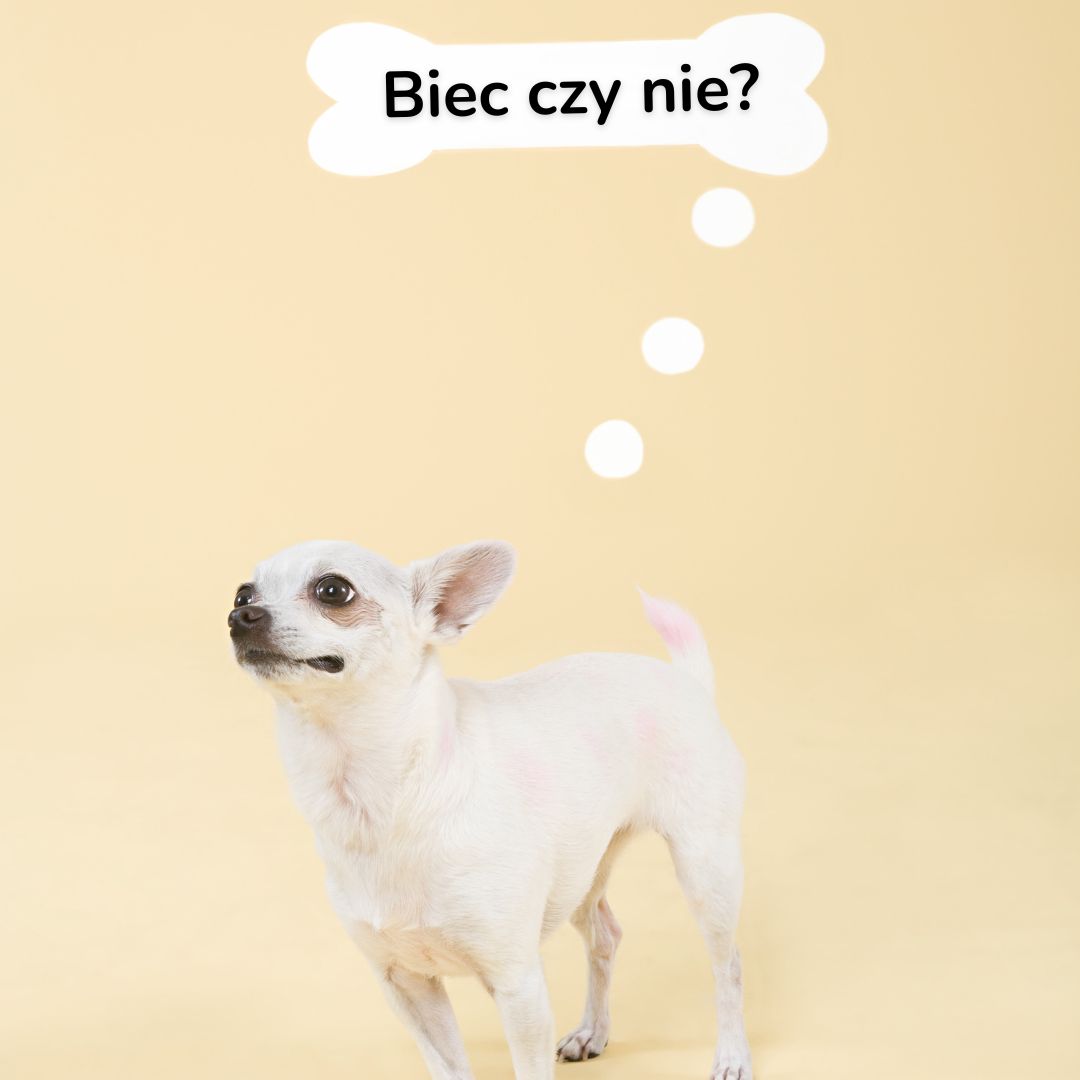 biec-czy-nie
