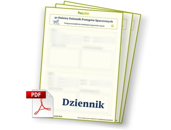 Dziennik Postępów Spacerowych