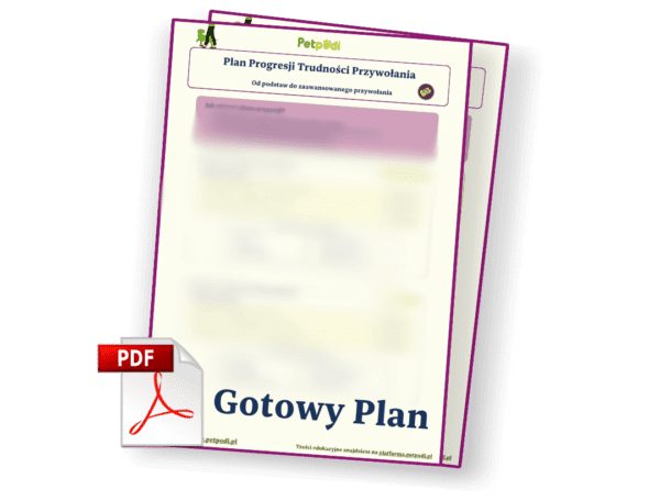 Plan Mistrzowskiego Przywołania